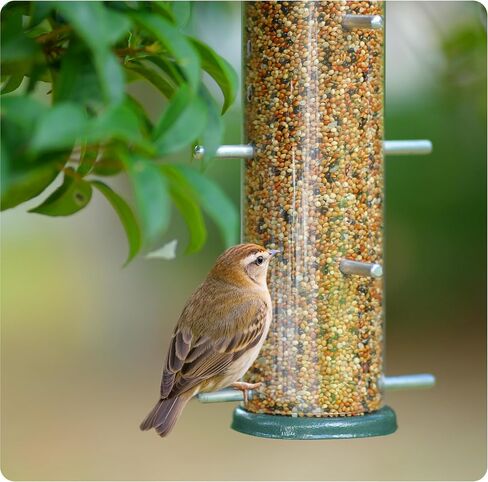MIXXIDEA Finch Bird Feeder Hanging Metal Thistle Seed Feeder with 8 Feeding Ports Nyger Seed Feeder, Goldfinch Feeder for Outdoors Garden Copper in Kuwait
