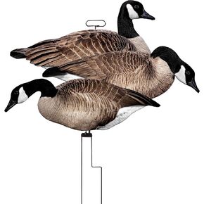 Higdon Outdoors Flats Magnum Canada Motion Silhouette, Fully Flocked (12pk) in Saudi Arabia