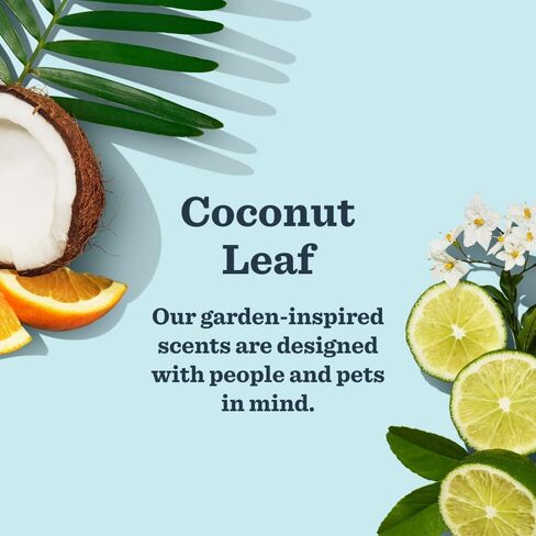 Mrs. Meyer's Clean Day Dog Care Kit, Includes 3in1 Dog Shampoo - White Peach, Dog Deodorizing Spritz - White Peach and Pet Stain & Odor Fighter - Coconut Leaf in Kuwait