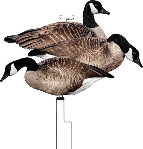 Higdon Outdoors Flats Magnum Canada Motion Silhouette, Fully Flocked (12pk) in Kuwait