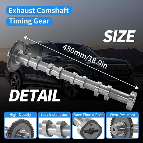 Exhaust Camshaft Timing Gear for 2008-2016 Audi A3 A4 A5 Q3 for VW CC 1.8L 2.0L Replace 06H109022BA 06H109022BB 06H109022M T101096 in Saudi Arabia
