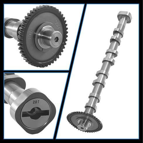 Exhaust Camshaft Timing Gear for 2008-2016 Audi A3 A4 A5 Q3 for VW CC 1.8L 2.0L Replace 06H109022BA 06H109022BB 06H109022M T101096 in Saudi Arabia
