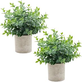 2 Pack Small Fake Plants Eucalyptus Potted Artificial Plants for Home Bathroom Farmhouse Room Coffee Table Decor（Green） in Saudi Arabia