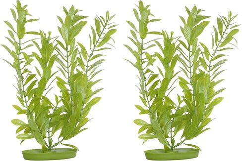 Marina Aquascaper Hygrophilia, 8-Inch, Medium in Kuwait