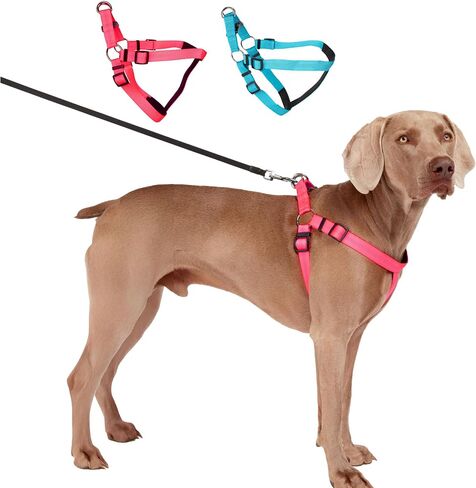 BLAZIN Reflective Dog Harness - 'Color Me Happy!' Adjustable Step-in Reflective Nylon Vest Harness - Neoprene Padded for Extra Comfort (X-Small, Blue) in Kuwait