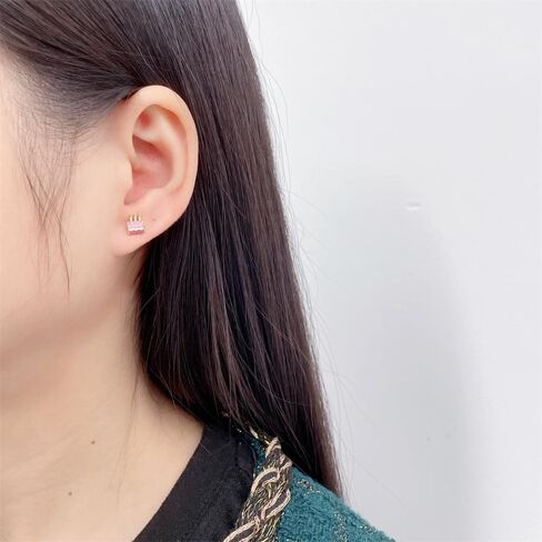 20g Birthday Cake Flat Screw Back Small Stud Earrings for Women Minimalist Cute Stainless Steel Happy Birthday Pink Enamel Piercing Sleeper Tiny Studs Unique Birthday Gift for Daughter Her in Saudi Arabia