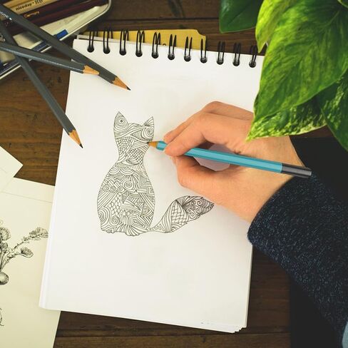 PATIKIL 2B Drawing Pencils for Sketching, 6PCS Sketch Pencils for Drawing Art Pencils Graphite Wood Pre-sharpened for Drawing Sketching Artist, Hexagonal, Black Refill, Green/Black Pole in Kuwait