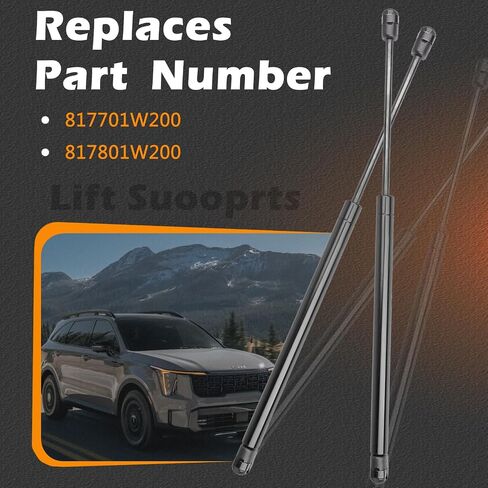 2 Pcs 19.38 in Liftgate Trunk Struts Lift Supports Compatible with Kia Rio 12-17 Shock Gas Spring Cylinder Rear Back Tailgate Hatch Replaces 817701W200 817801W200 in Saudi Arabia