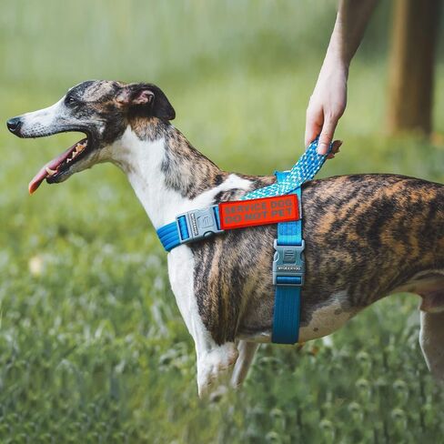 Do Not Pet Patch 2 Pcs Service Id Dog Tag Easily Attach to Collar, Harness (Small-1.18 x 4.33) in Kuwait