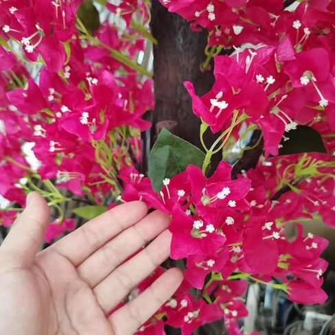Large Pink Artificial Bougainvillea Tree Artificial Tree for Landscape and Venue Decoration - Indoor Outdoor Use (1.5x1.2m) in Kuwait