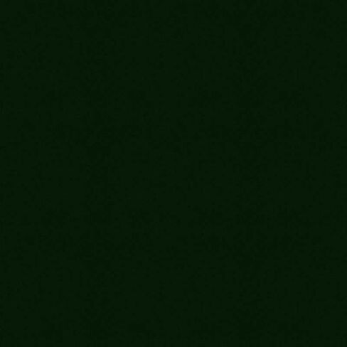 طلاء السيارات لتويوتا 6R1، وودلاند بيرل، 11 أوقية الهباء الجوي in Saudi Arabia