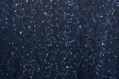 S.L. Fashions Women's Midi Length Sequin Fit and Flare Dress (Missy Petite), Navy Lace, 14P in Saudi Arabia