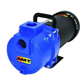 AMT Pump 3792-95 Sprinkler Booster Pump, Stainless steel, 1-1/2 HP, 1 Phase, 115/230V, Curve C, 1-1/2" NPT Female Suction & Discharge Ports