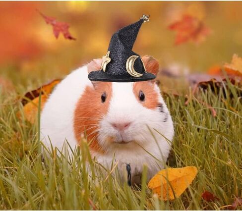 4 قطع زي خنزير غينيا نجمة وقمر قبعات صغيرة للحيوانات الصغيرة مثل الهامستر والجرذان والثعابين والسحالي وخنازير غينيا ملابس تنكرية لحفلات العطلات in Kuwait