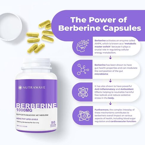 Nutrawave PURE Berberine أقصى قدر من الفعالية - يدعم مستويات السكر في الدم والتمثيل الغذائي، 1000 مجم لكل وجبة - كبسولتان - للبالغين الذين يبحثون عن دعم الجلوكوز الطبيعي - غير معدل وراثيًا، نباتي - عبوة واحدة in Saudi Arabia
