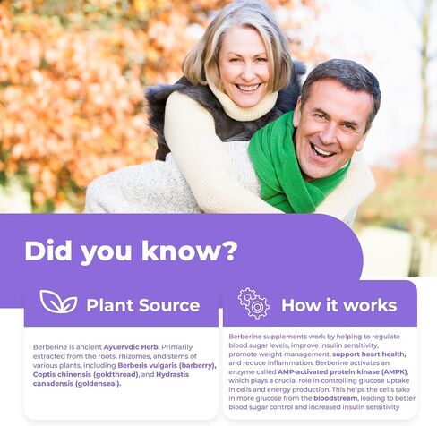 Nutrawave PURE Berberine أقصى قدر من الفعالية - يدعم مستويات السكر في الدم والتمثيل الغذائي، 1000 مجم لكل وجبة - كبسولتان - للبالغين الذين يبحثون عن دعم الجلوكوز الطبيعي - غير معدل وراثيًا، نباتي - عبوة واحدة in Saudi Arabia