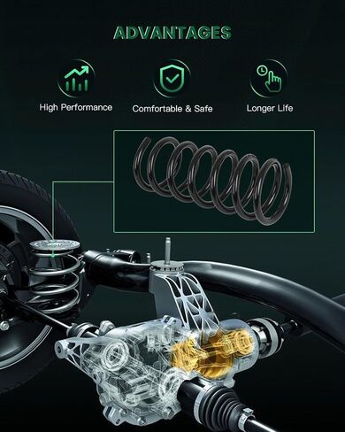 SCITOO 550209N60B Coil Springs, 2Pcs Rear Suspension Coil Springs Set Compatible with 2009-2014 for Nissan for Maxima in Saudi Arabia