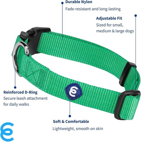 Blueberry Pet Essentials Matching Medium Dog Collar | Adjustable Classic Solid Color Nylon Dog Collars for Medium Dogs | Verdant Green Dog Collar for Medium Dogs in Kuwait
