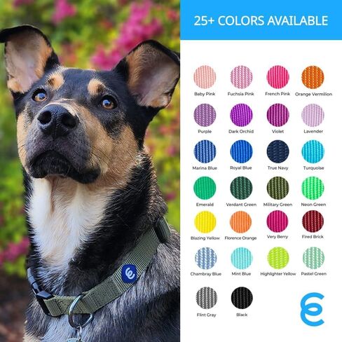 Blueberry Pet Essentials Matching Medium Dog Collar | Adjustable Classic Solid Color Nylon Dog Collars for Medium Dogs | Verdant Green Dog Collar for Medium Dogs in Kuwait
