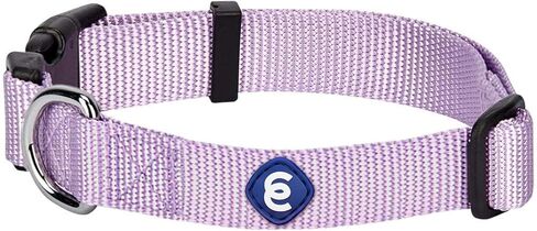 Blueberry Pet Essentials Matching Medium Dog Collar | Adjustable Classic Solid Color Nylon Dog Collars for Medium Dogs | Verdant Green Dog Collar for Medium Dogs in Kuwait