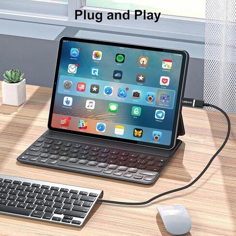 leizhan USB C to Mini USB Adapter, 2 Pack, USB-C Female to Mini USB 2.0 Male Adapter, Compatible with Laptops/Tablets, MP3 Players, Digital Cameras etc, Black in Kuwait
