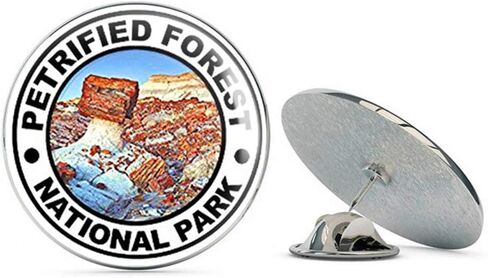 Round Petrified Forest National Park (rv Travel) Metal 0.75" Lapel Hat Pin Tie Tack Pinback in Saudi Arabia