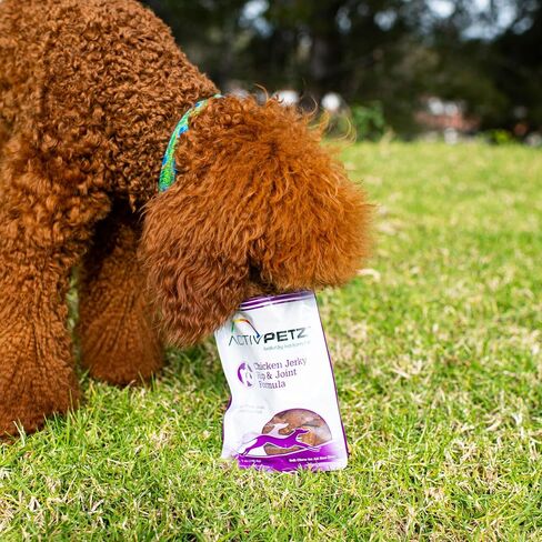 Loving Pets Activpetz Chicken Jerky Hip & Joint Formula Dog Treat, 7 Oz in Saudi Arabia