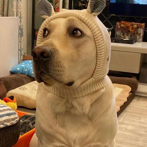 Cute Bunny Ear Hat, Thickened, Effectively Warm Ears, Suitable for Winter Unisex Knitted Hat in Saudi Arabia