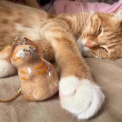 6 Pcs Pet Hair Keychain Clear Cat Shape Storage Bottle Memorial Pendant for Pet Lovers Collecting Keepsake in Saudi Arabia
