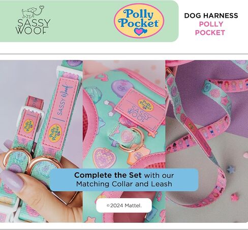 Polly Pocket™ Dog Leash 60-Inch with Neoprene Padded Handle - Comfortable, Durable, and Stylish for Small to Large Dogs - Officially Licensed in Kuwait
