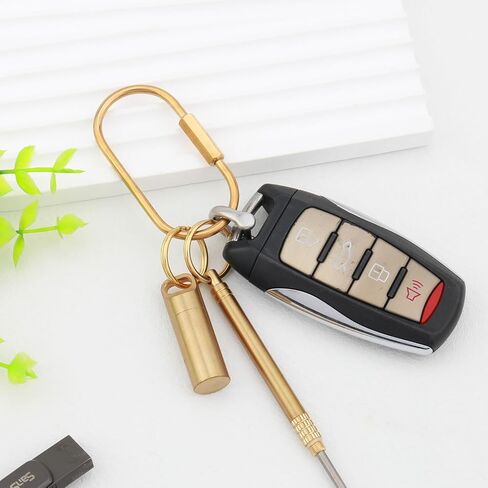 ChunlongFour Brass Key Rings Screw Lock Key Organizer Carabiner Keychain Clip for Key Christmas Purse Bag Charms for Handbags in Kuwait