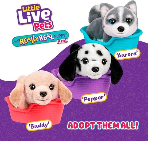 Little Live Pets - جروي الحقيقي حقًا - بقع البيجل | لعبة جرو تفاعلية واقعية تتفاعل مع لمستك. أكثر من 60 صوتًا وردود أفعال. فرو ناعم، وأقدام ثقيلة، وعيون وامضة مثل الجرو الحقيقي in Saudi Arabia