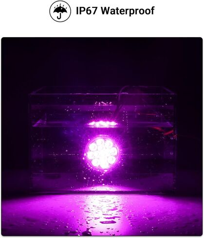 2.5" Round 13LEDs Marker Light Dual Revolution Amber Side Marker Fender Lights to White Auxiliary Lights for Trailer Truck 12V IP67 Waterproof 10Pcs in Kuwait