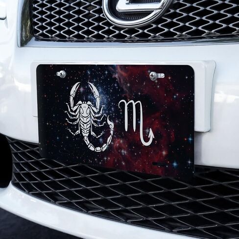 GRAPHICS & MORE Scorpio Scorpion Zodiac Sign Horoscope in Space Novelty Metal Vanity Tag License Plate in Saudi Arabia