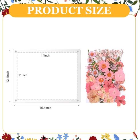 Kathfly 11 × 14 بوصة إطار صورة أكريليك شفاف مثبت على الحائط ذاتي اللصق مع زهور وردية مجففة مضغوطة عائمة بدون إطار إطار صورة واضح لشهادة الدبلوم والأعمال الفنية الفنية in Kuwait