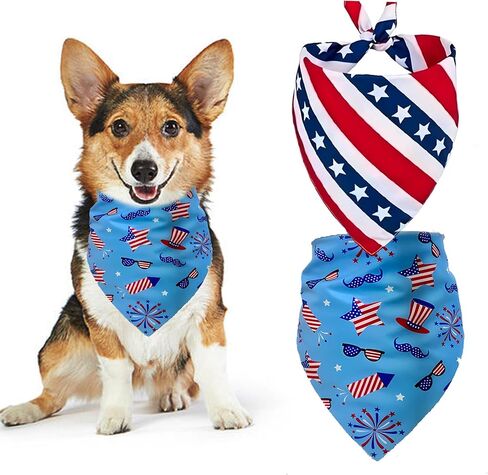 هو أو هي ماذا سيكون الطفل؟ الكشف عن إعلان الكلب باندانا ، إعلان طفل الحمل ، مستلزمات حفلات الحيوانات الأليفة ، ملحقات الكلاب in Kuwait