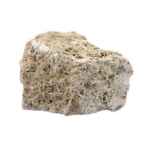 EISCO 12PK Raw Fossiliferous Limestone, Sedimentary Rock Specimens - Approx. 1" - Geologist Selected & Hand Processed - Great for Science Classrooms - Class Pack