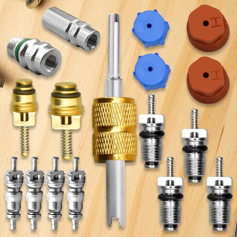 17 Pcs Air Conditioning Valve Core Kit, R12 To R134a Conversion Kit R134a Valve Core A/C Refrigeration System, AC Valve Kit AC Valve Core Removal Tool AC Service Port Seal Cap Valve Kit in Saudi Arabia