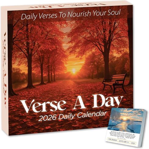 Hannah Faith A Bible Verse A Day 2025 Calendar | 300+ Christian Verses from the NIV Bible to Inspire Your Daily Devotional, Positive Motivational Religious Daily Verses for Men & Women in Saudi Arabia