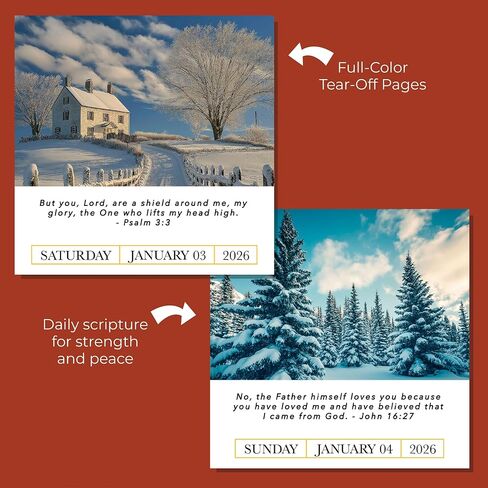 Hannah Faith A Bible Verse A Day 2025 Calendar | 300+ Christian Verses from the NIV Bible to Inspire Your Daily Devotional, Positive Motivational Religious Daily Verses for Men & Women in Saudi Arabia
