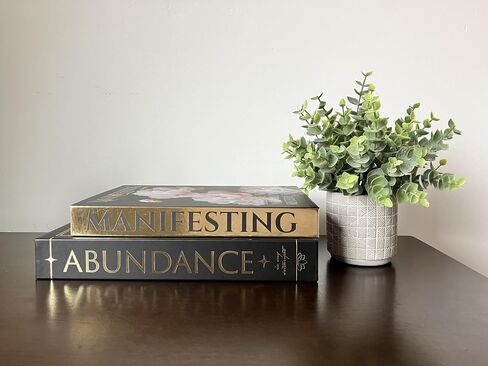 Manifestation Faux Book Decorative Storage Boxes – Set of 2 Nesting Magnetic Boxes for Coffee Table Decor, Home Organization, and New Age Abundance Aesthetic with Foil Details (Large & Small) in Saudi Arabia