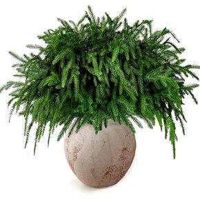 12 Pcs Christmas Norfolk Pine Branches 18 Inch Artificial Norfolk Pine Stems Faux Stem Greenery Pine for DIY Crafts Garland Wreath Xmas and Home Decor in Saudi Arabia