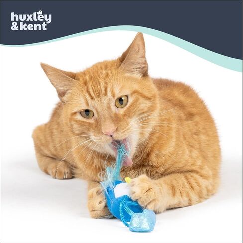 لعبة Huxley & Kent Chirpy Cat - Ladybug - لعبة تفاعلية للقطط in Kuwait