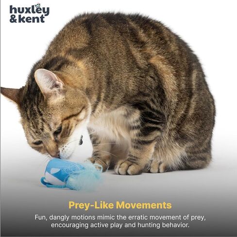 لعبة Huxley & Kent Chirpy Cat - Ladybug - لعبة تفاعلية للقطط in Kuwait