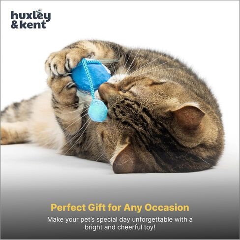 لعبة Huxley & Kent Chirpy Cat - Ladybug - لعبة تفاعلية للقطط in Kuwait