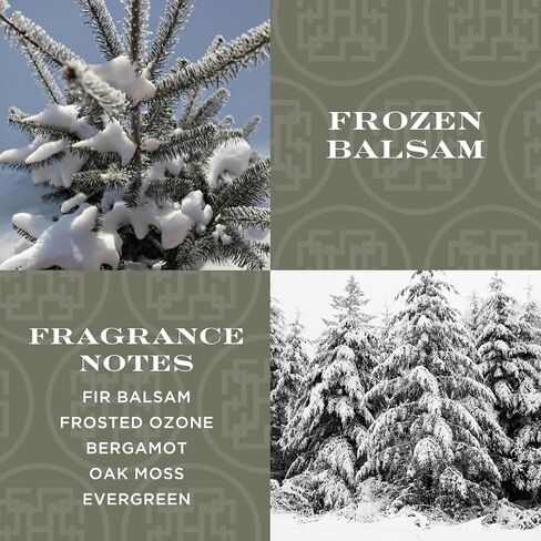 HomeWorx by SLATKIN + CO. Auto Hanger - Frozen Balsam Premium Scented Air Freshners in Saudi Arabia
