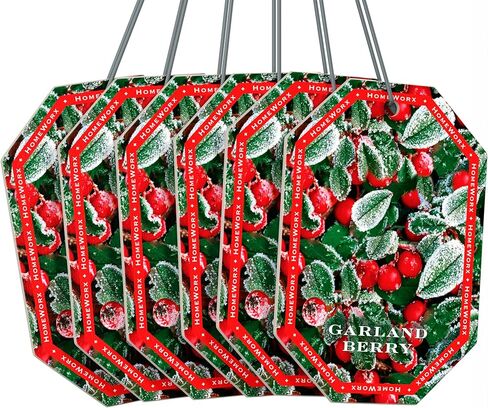 HomeWorx by SLATKIN + CO. Auto Hanger - Frozen Balsam Premium Scented Air Freshners in Kuwait