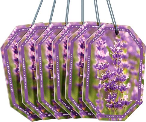 HomeWorx by SLATKIN + CO. Auto Hanger - Frozen Balsam Premium Scented Air Freshners in Saudi Arabia