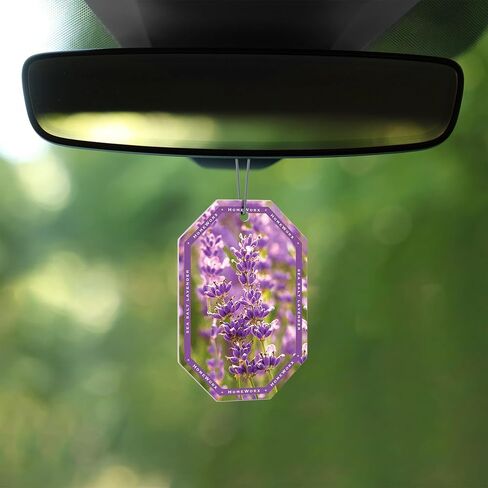 HomeWorx by SLATKIN + CO. Auto Hanger - Frozen Balsam Premium Scented Air Freshners in Saudi Arabia