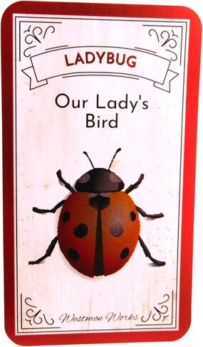 مجموعة صلاة كاثوليكية معدنية مرسومة يدويًا من Westmon Works Ladybug Rosary مع حقيبة مطابقة وبطاقة مقدسة مصنوعة في إيطاليا in Saudi Arabia